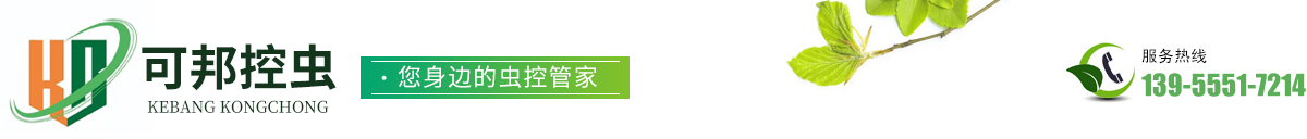 池州滅白蟻-池州滅蟑螂-池州滅老鼠|池州市可邦環(huán)境科技有限公司